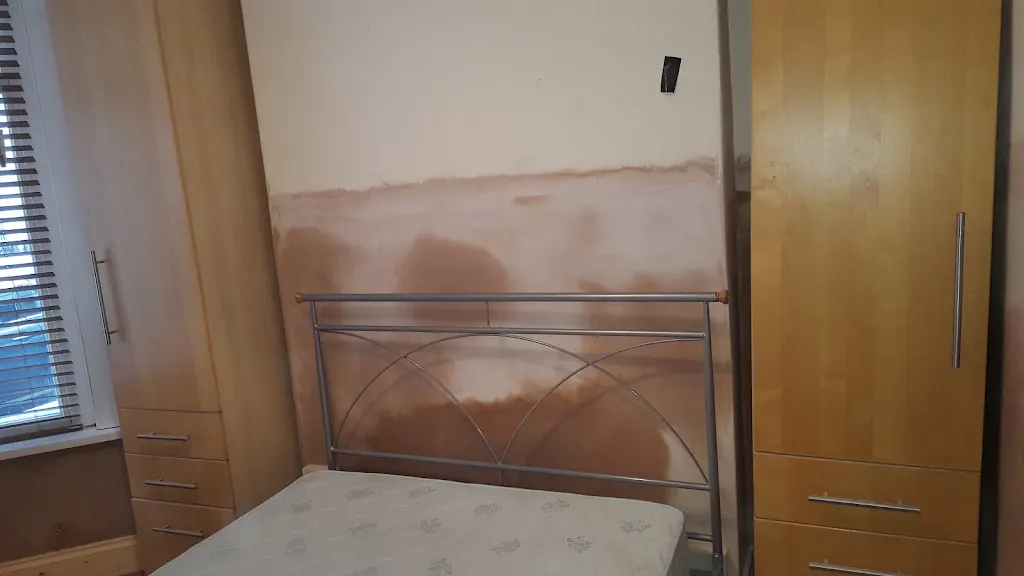 Damp and moisture service visual