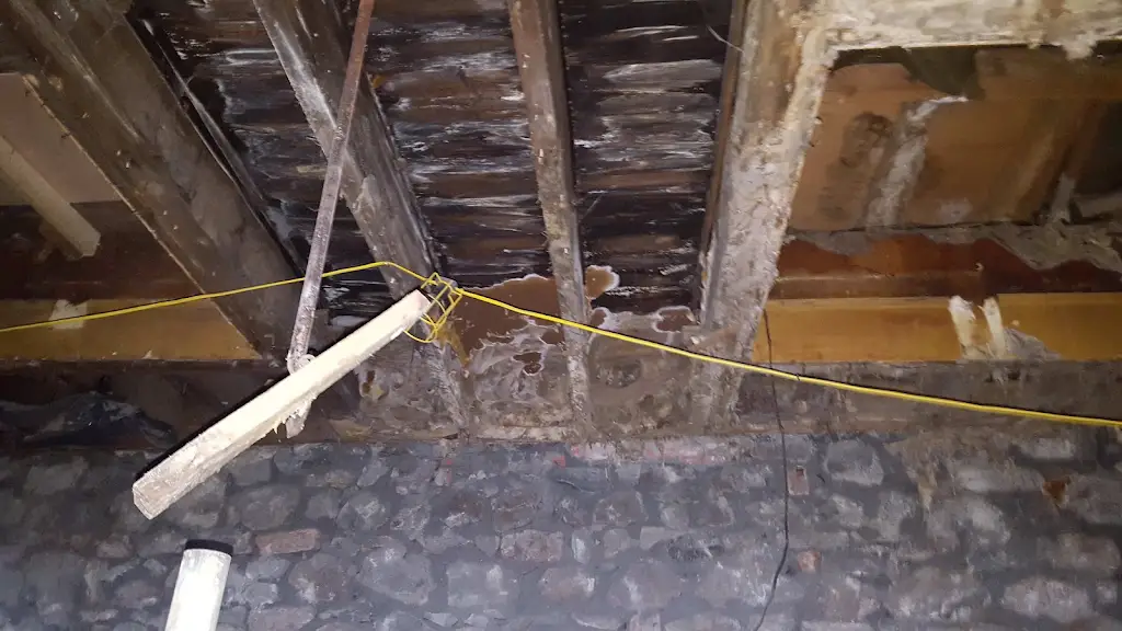 Dry rot treatment site photograph 4