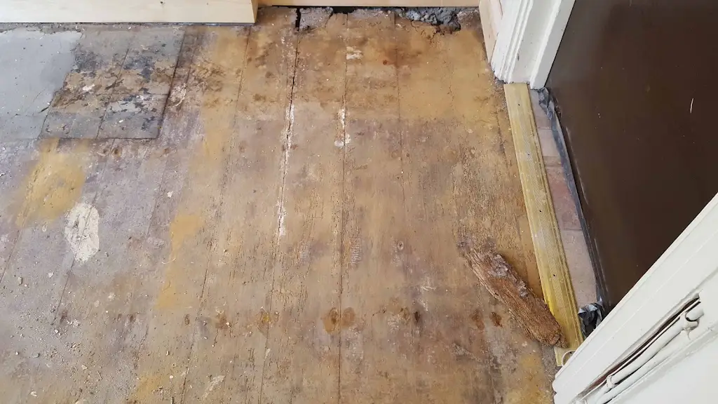 Woodworm treatment